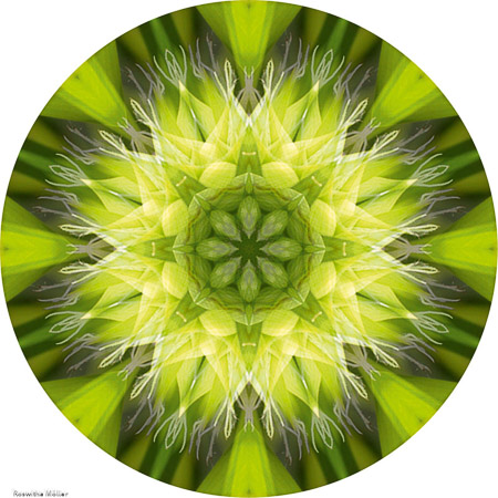 Herz - Chakra